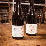 Boutique Wohlgemuth Heim Mosel Weingut