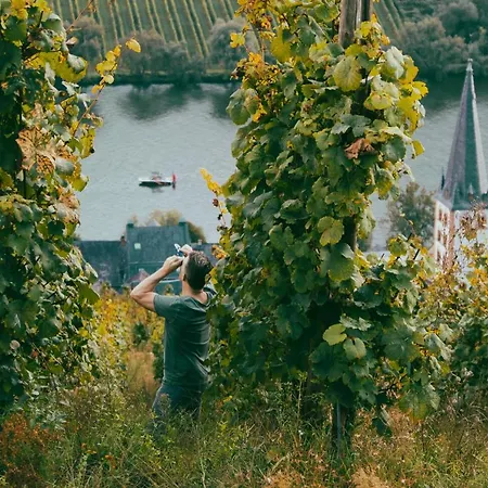 Boutique Wohlgemuth Heim Mosel Weingut 3* Zell an der Mosel