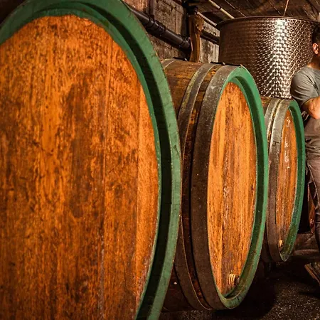 Boutique Wohlgemuth Heim Mosel Weingut 3* Zell an der Mosel