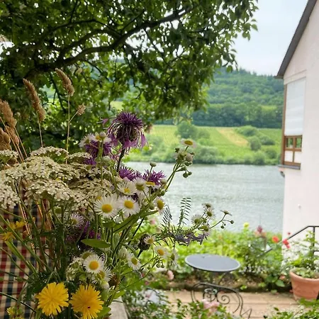 Boutique Wohlgemuth Heim Mosel Weingut Bed & Breakfast