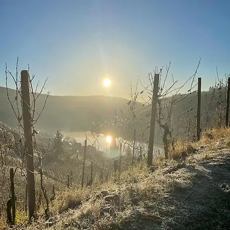 Alojamento de Acomodação e Pequeno-almoço Boutique Wohlgemuth Heim Mosel Weingut