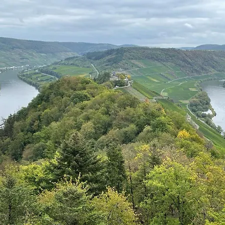Boutique Wohlgemuth Heim Mosel Weingut 3* Zell an der Mosel
