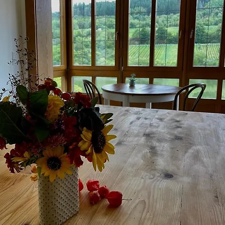 Boutique Wohlgemuth Heim Mosel Weingut Bed & Breakfast Zell an der Mosel