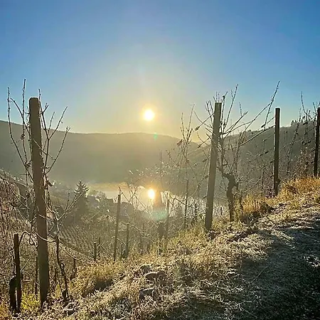 Bed & Breakfast Boutique Wohlgemuth Heim Mosel Weingut