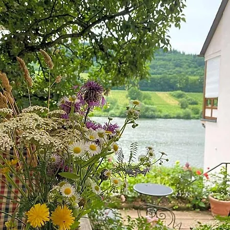 Boutique Wohlgemuth Heim Mosel Weingut