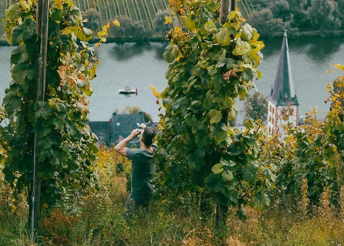 Boutique Wohlgemuth Heim Mosel Weingut 3* Zell an der Mosel
