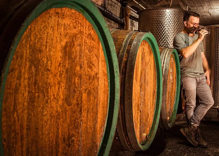 Boutique Wohlgemuth Heim Mosel Weingut 3* Zell an der Mosel