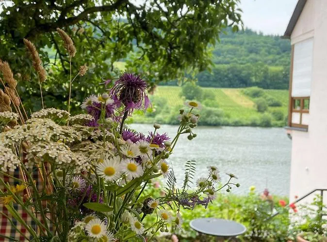 Boutique Wohlgemuth Heim Mosel Weingut Bed & Breakfast