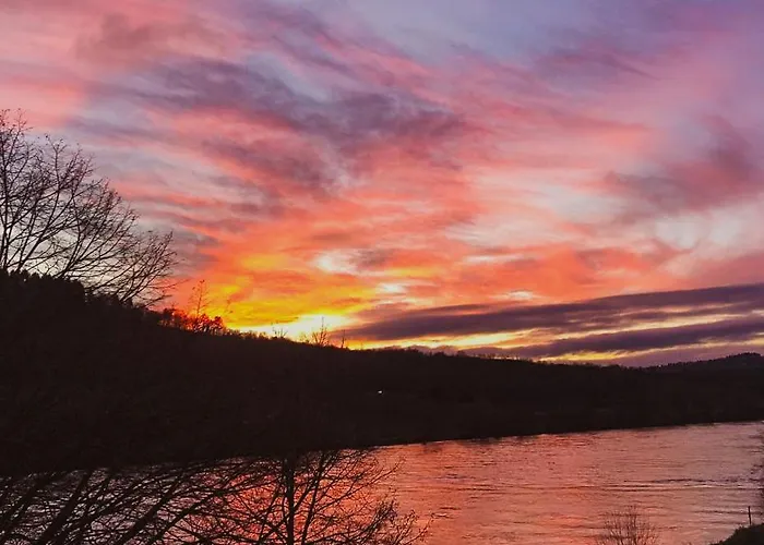 ベッド・アンド・ブレックファスト Boutique Wohlgemuth Heim Mosel Weingut ツェル・アン・デル・モーゼル