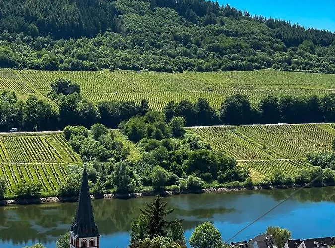 Boutique Wohlgemuth Heim Mosel Weingut
