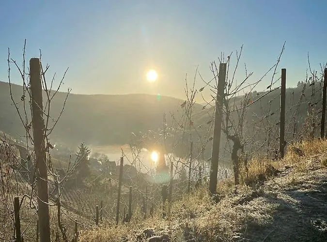 Bed & Breakfast Boutique Wohlgemuth Heim Mosel Weingut